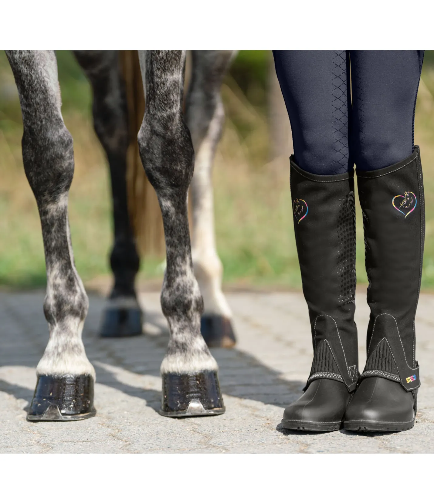 STEEDS Mini-chaps d'équitation enfant Ruby noir Discount