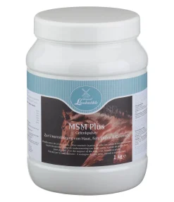 Original Landmühle MSM Plus Discount
