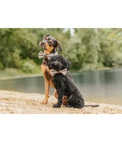 sugar dog Noeud papillon pour chien Tribal Love latte macchiato Clearance