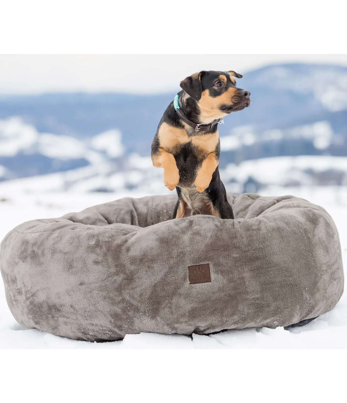 sugar dog Panier en polaire pour chien Quimba cappuccino Online