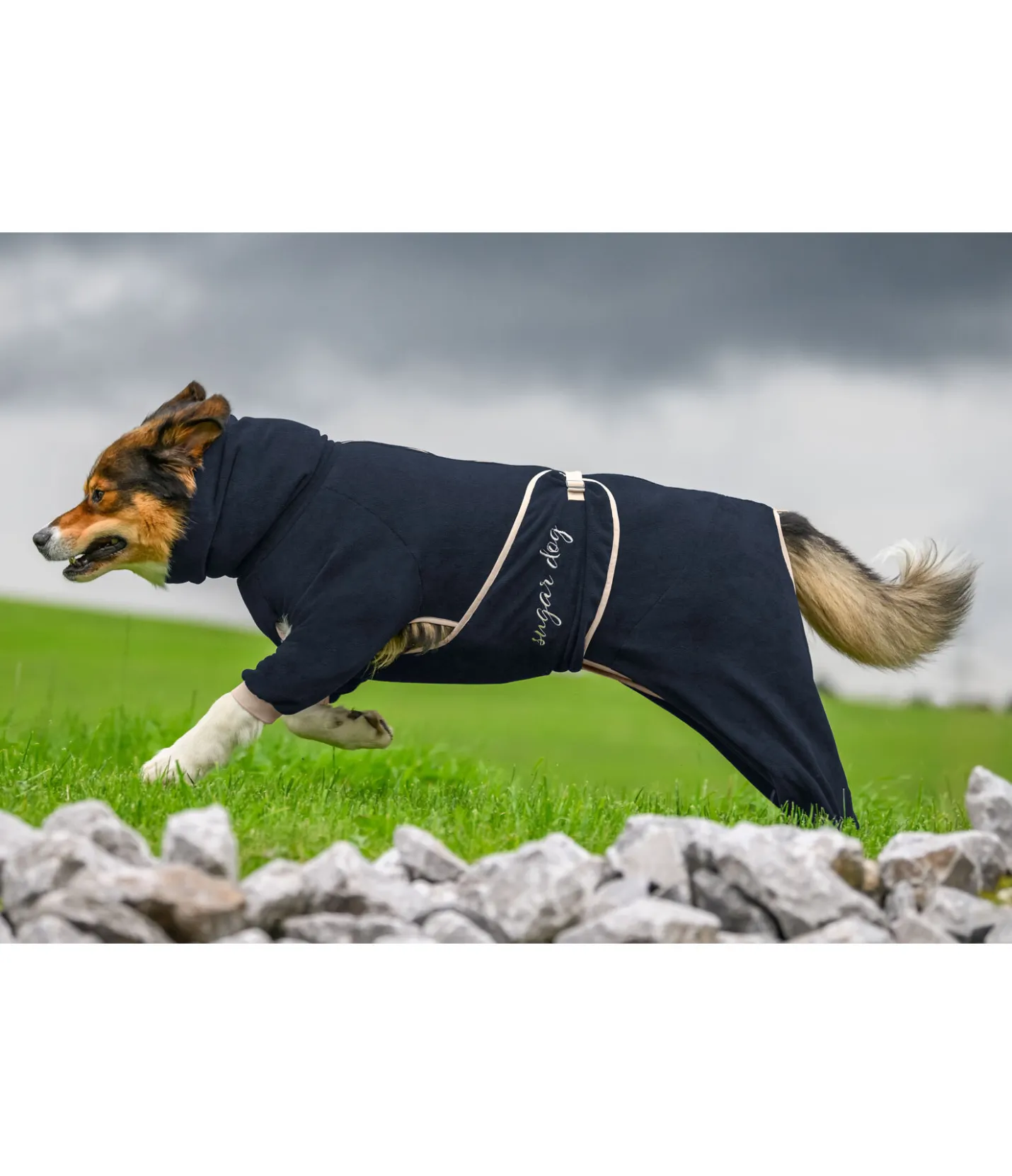 sugar dog Peignoir pour chien Allover Dry navy Hot