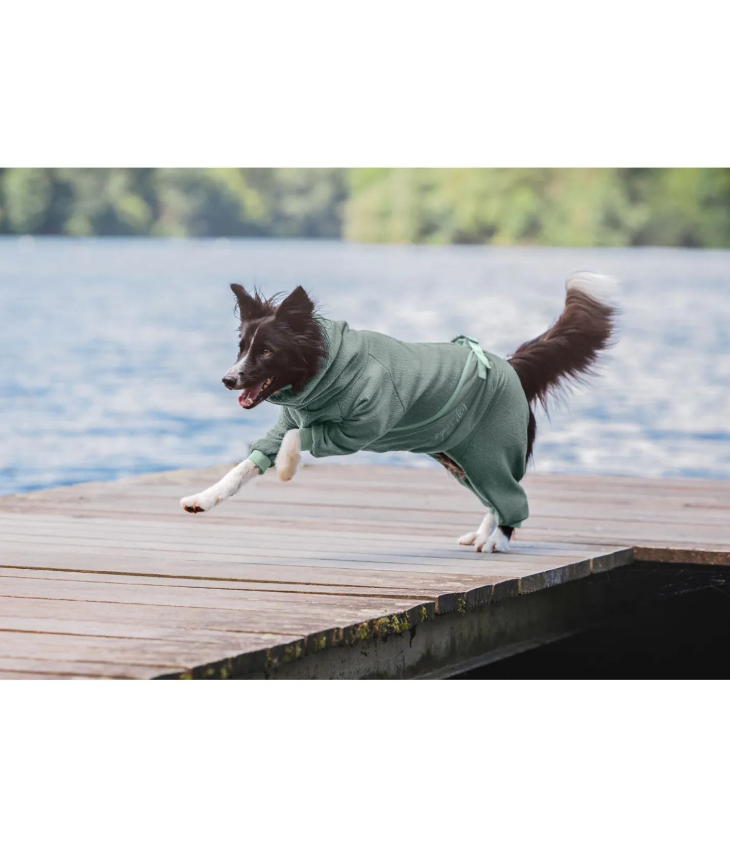 sugar dog Peignoir pour chien Allover Dry matcha foncé New
