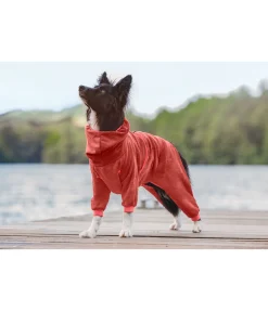 sugar dog Peignoir pour chien Allover Dry gingembre orange Best