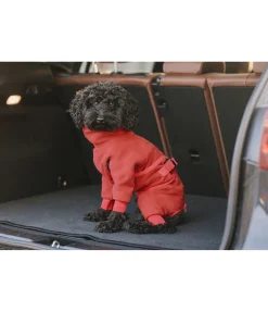 sugar dog Peignoir pour chien Allover Dry gingembre orange Best