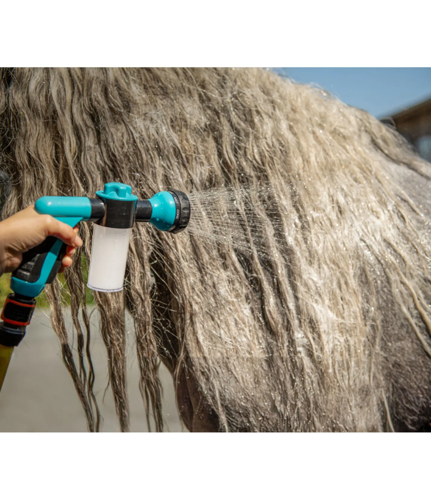 SHOWMASTER Pistolet de douche pour cheval bleu Clearance