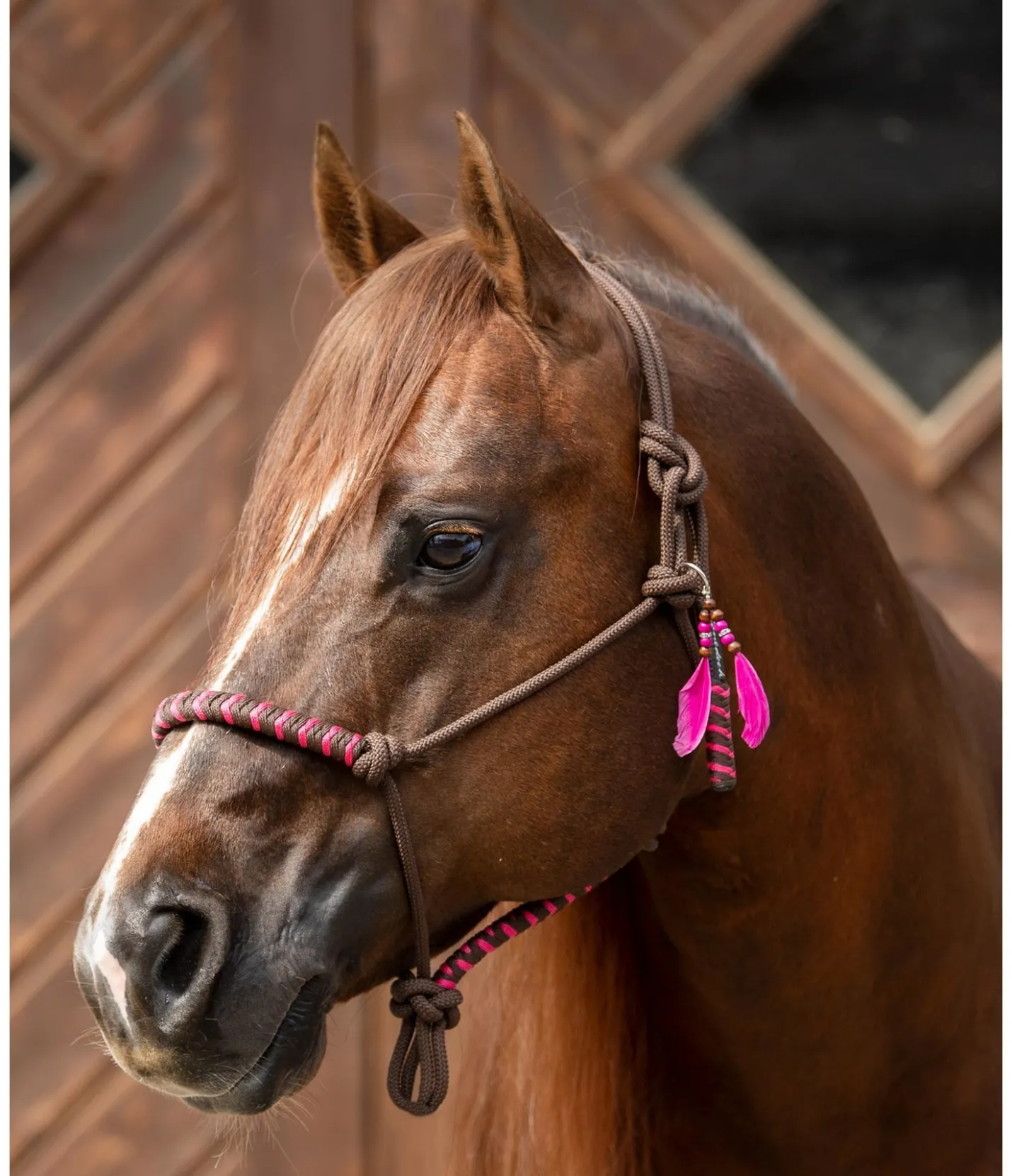 STONEDEEK Porte-clés Waleah fuchsia Sale