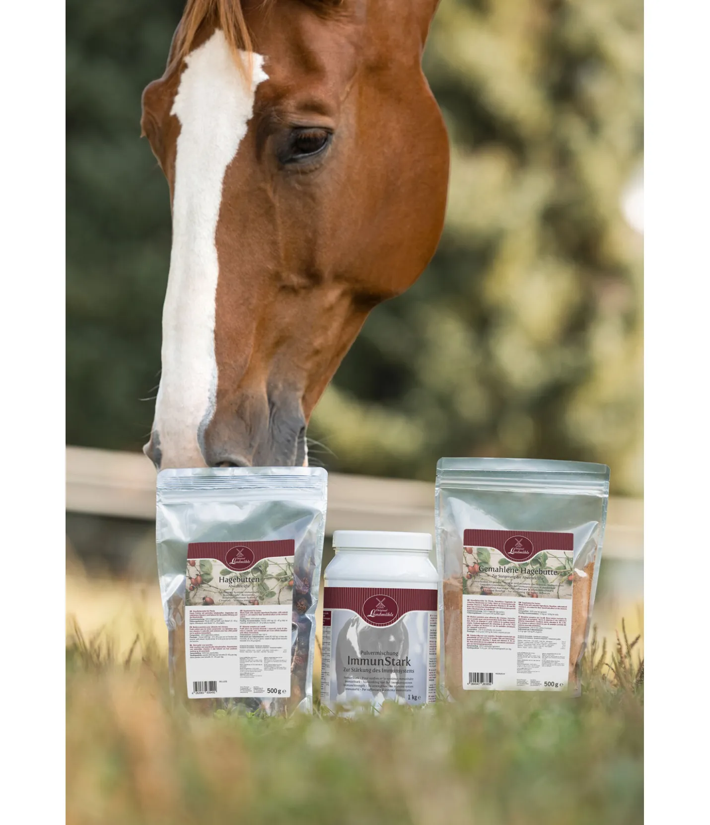 Original Landmühle Poudre Immunité ImmunStark Discount