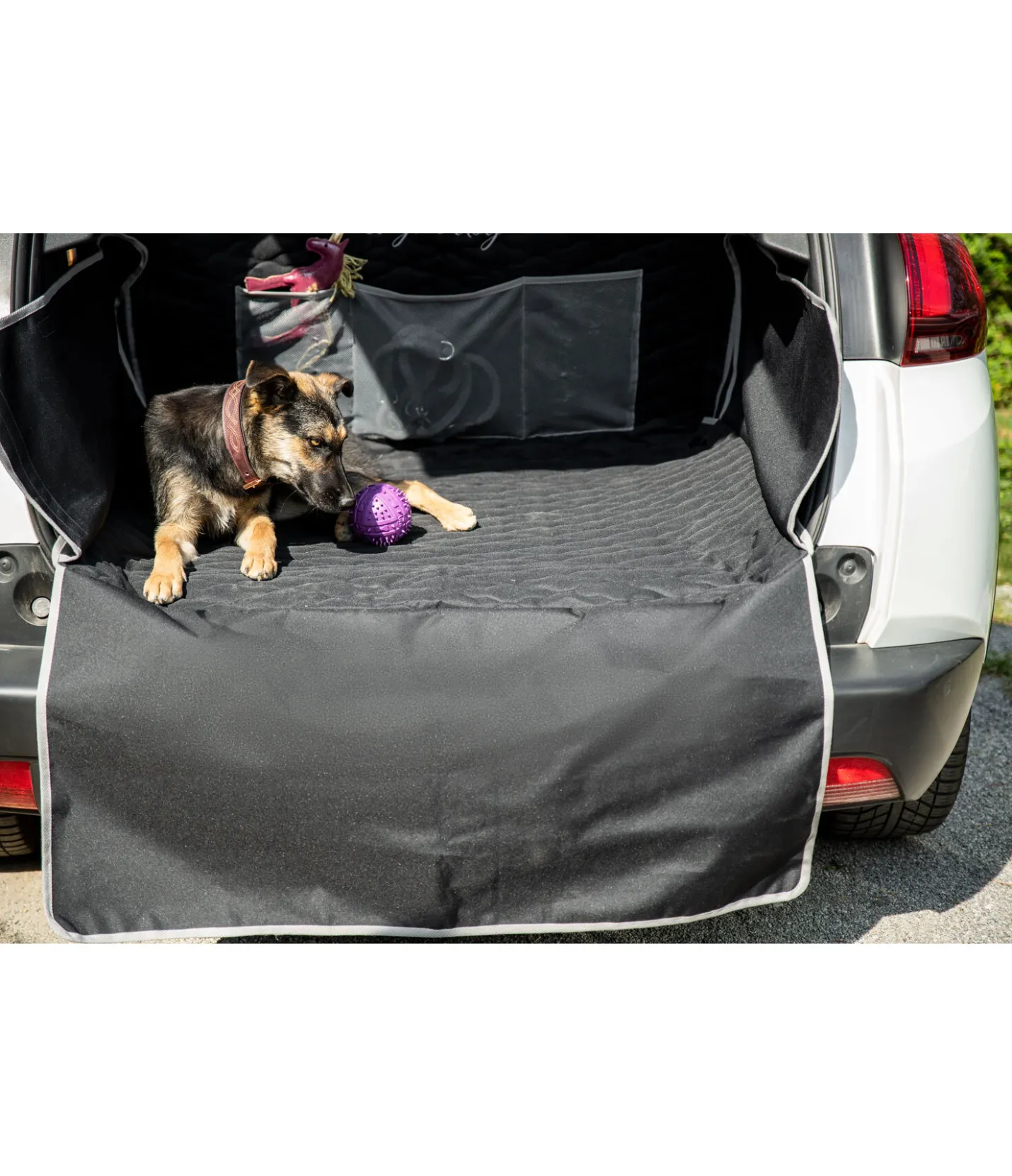 sugar dog Protection universelle pour coffre de voiture noir Sale