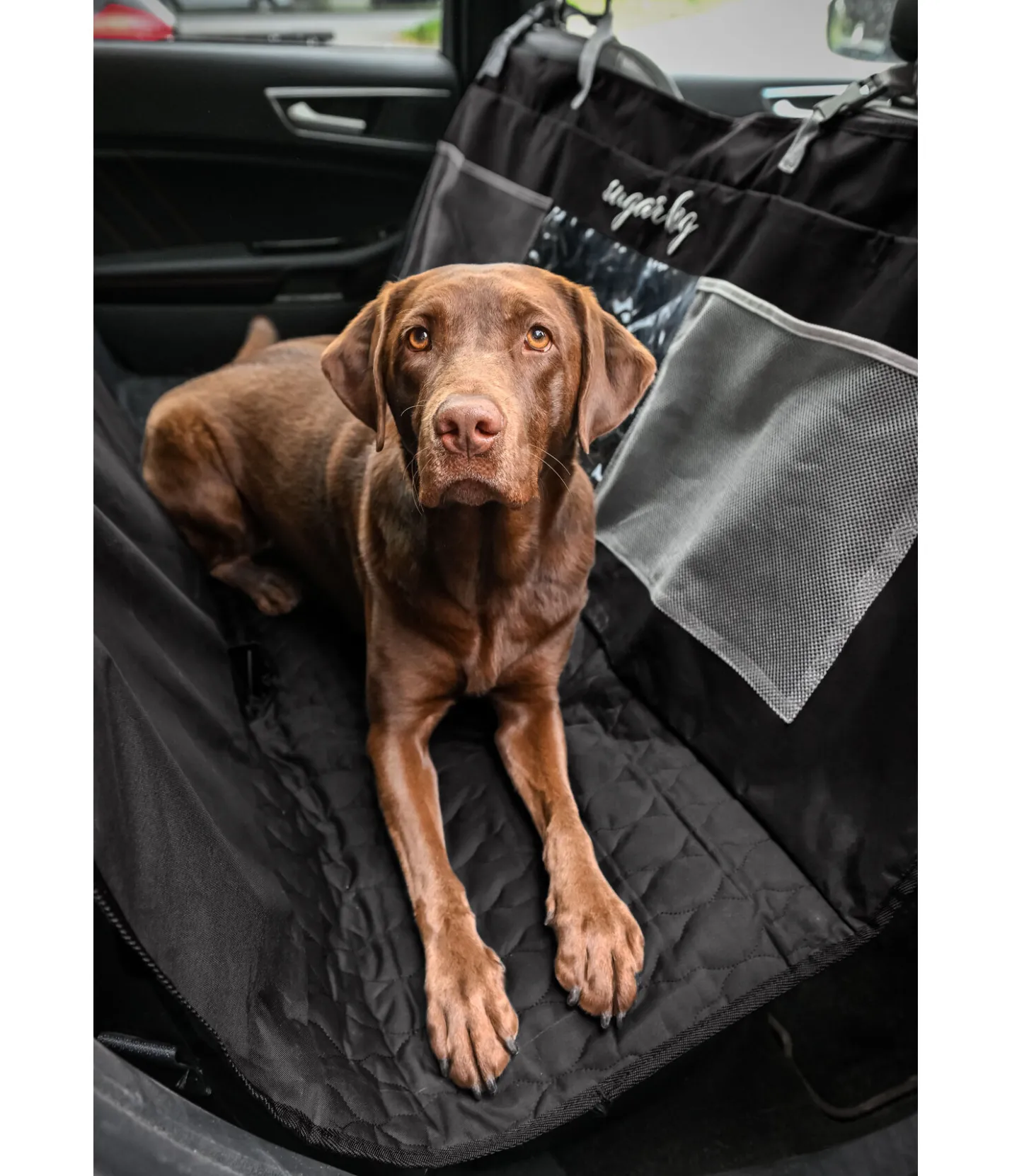 sugar dog Protection universelle pour banquette arrière Road Trip noir Best