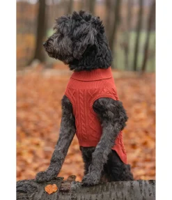 sugar dog Pull col roulé Maisie terre cuite Outlet