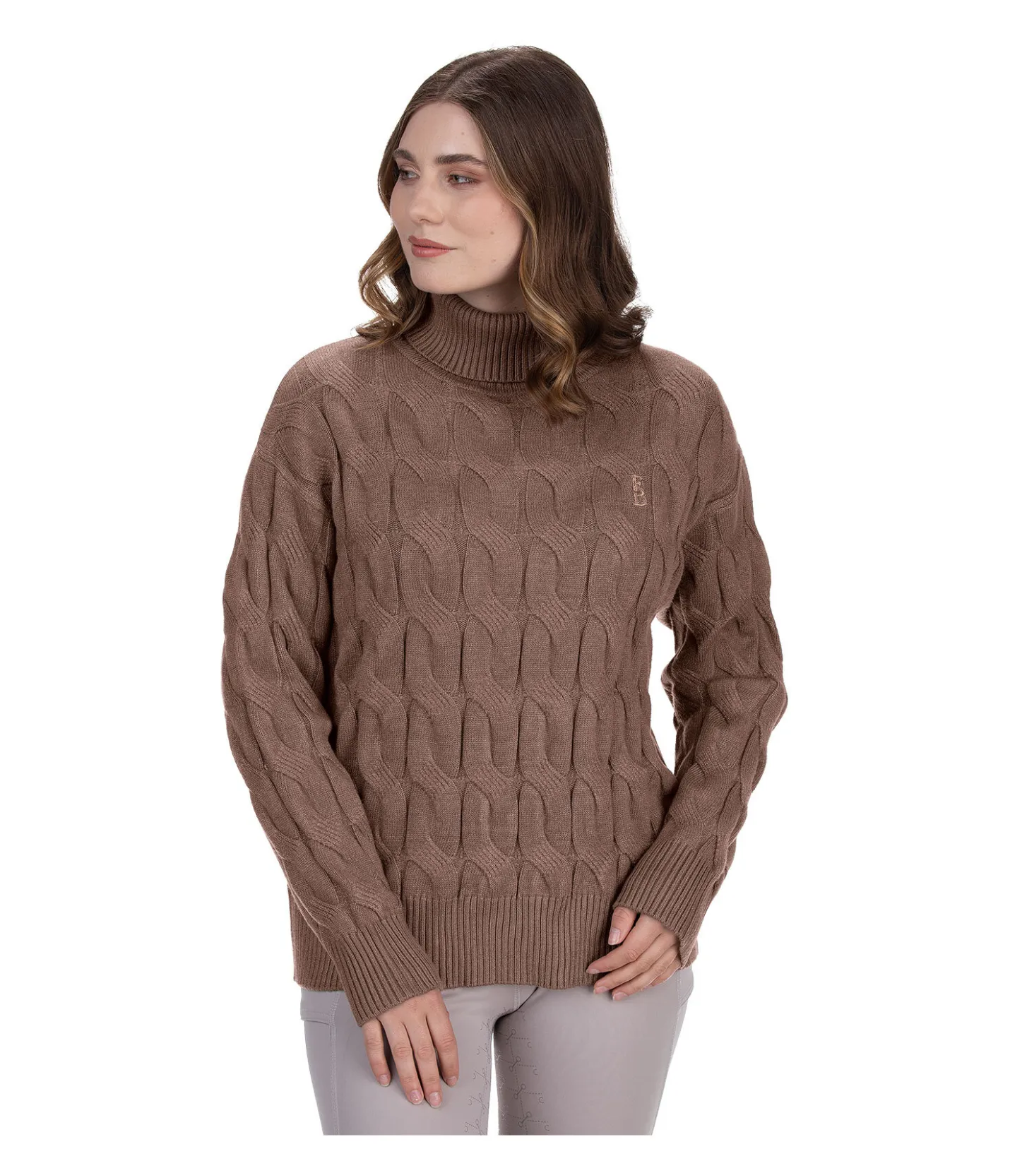 Felix Bühler Pull-over à col roulé Lea cannelle Hot
