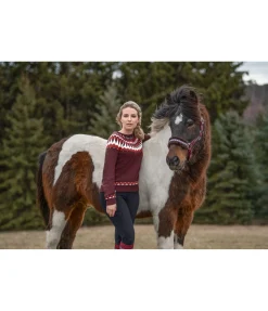 FENGUR Pull-over Tryggur rouge foncé New