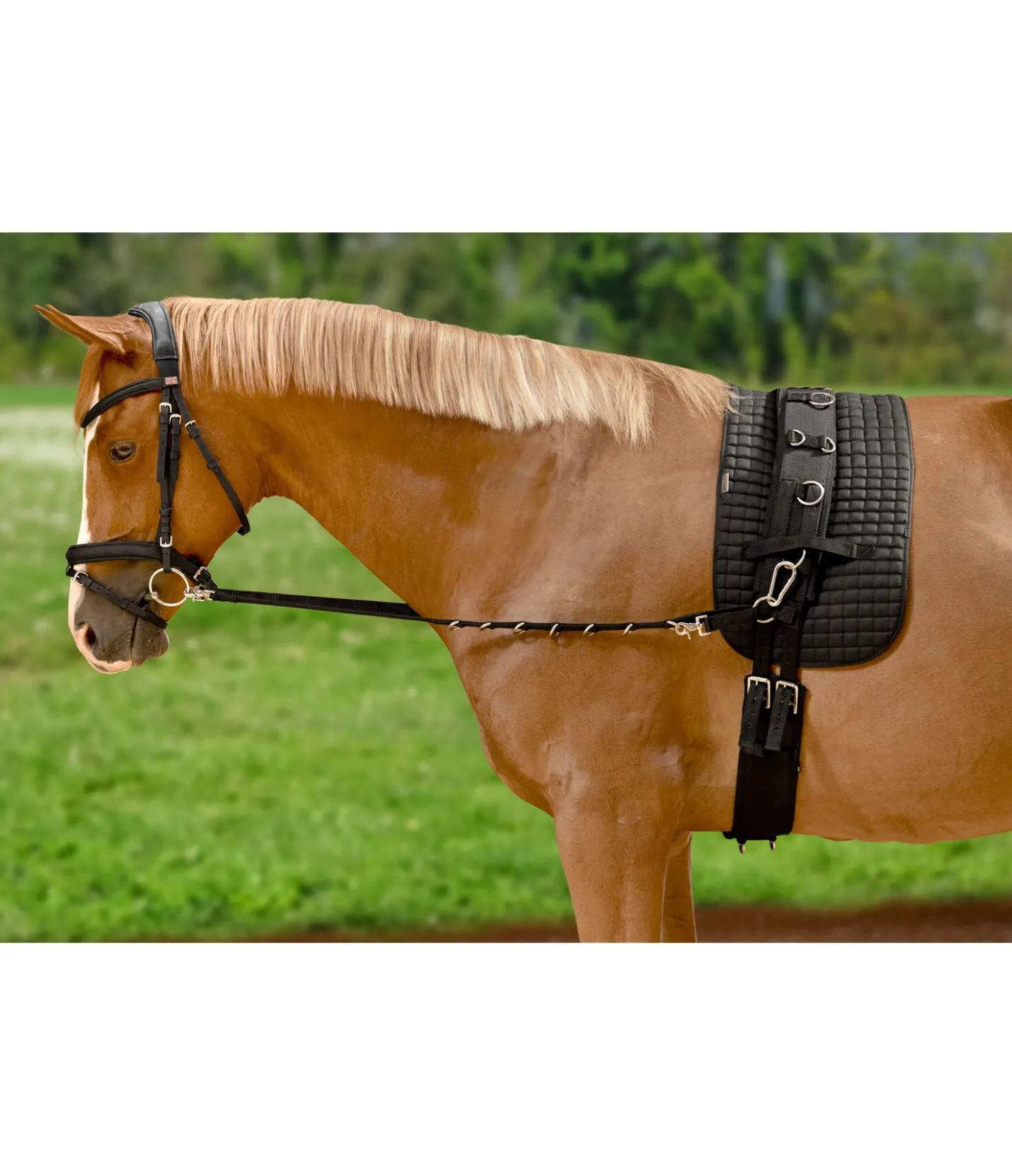 Kramer Rênes fixes en nylon avec anneaux Clearance