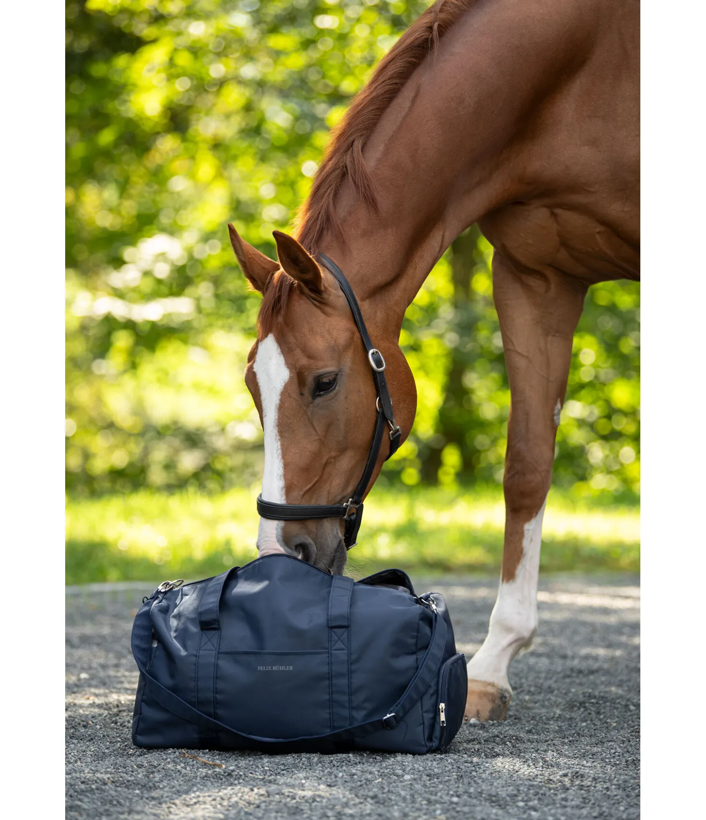 Felix Bühler Sac de voyage Sportive gris bleu New