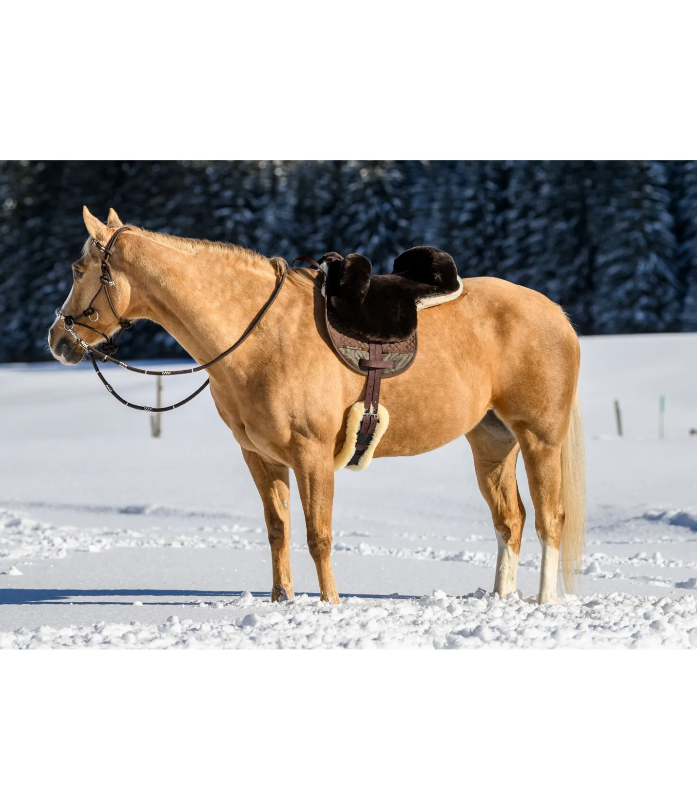 SHOWMASTER Selle de loisir en véritable fourrure d'agneau brun
