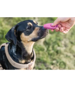 sugar dog Sifflet combiné avec clicker rose New