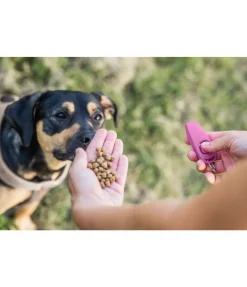 sugar dog Sifflet combiné avec clicker rose New