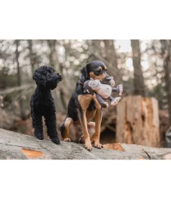 sugar dog Singe en peluche pour chien Alfie Clearance