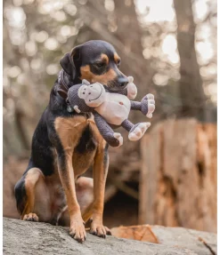 sugar dog Singe en peluche pour chien Alfie Clearance