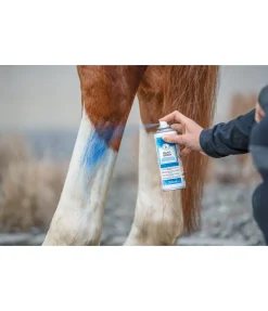 SHOWMASTER Spray bleu Discount