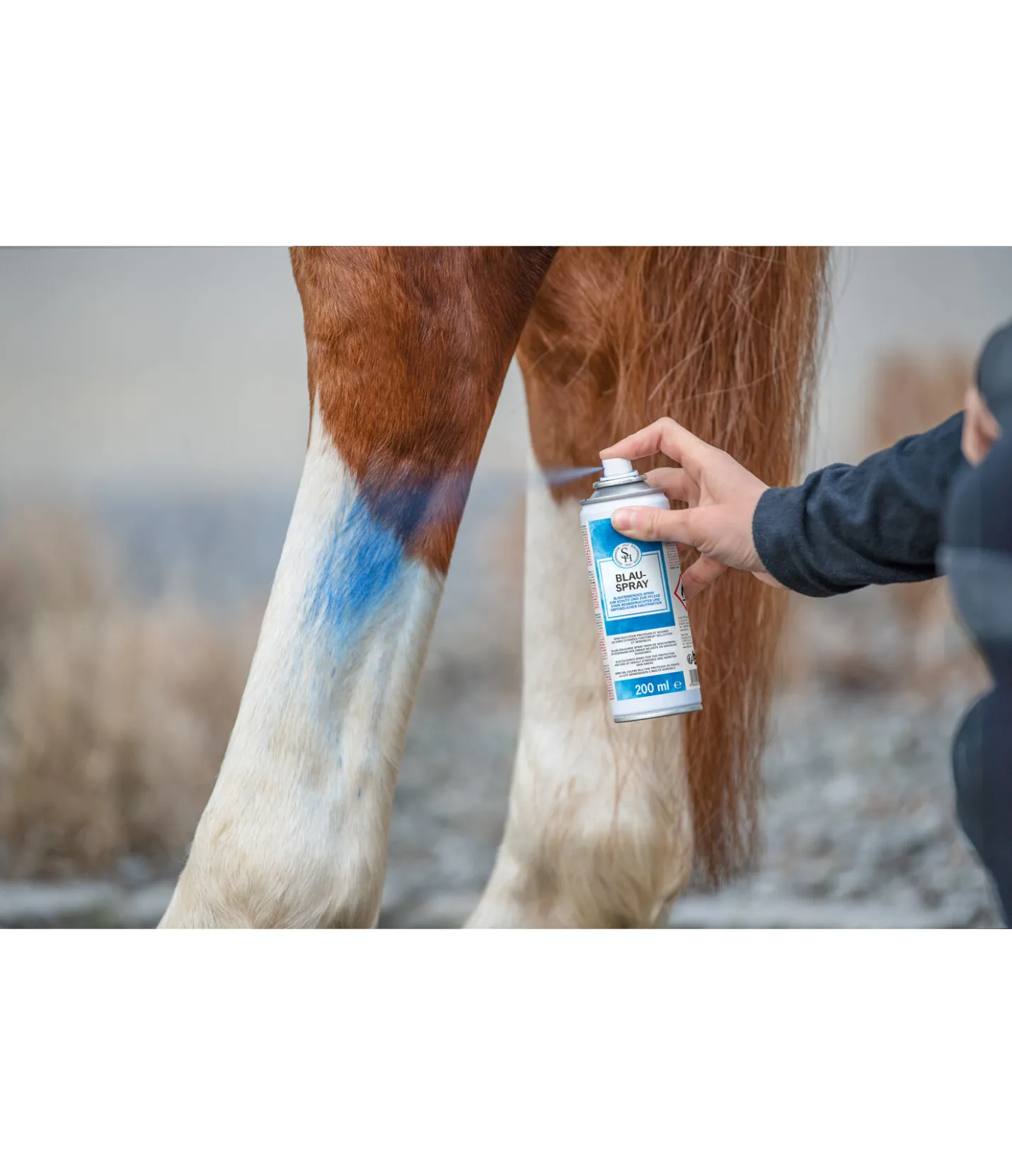 SHOWMASTER Spray bleu Discount