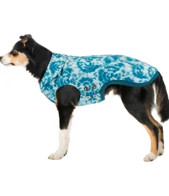 sugar dog Sweat à capuche pour chien Daphne aquamarine Best
