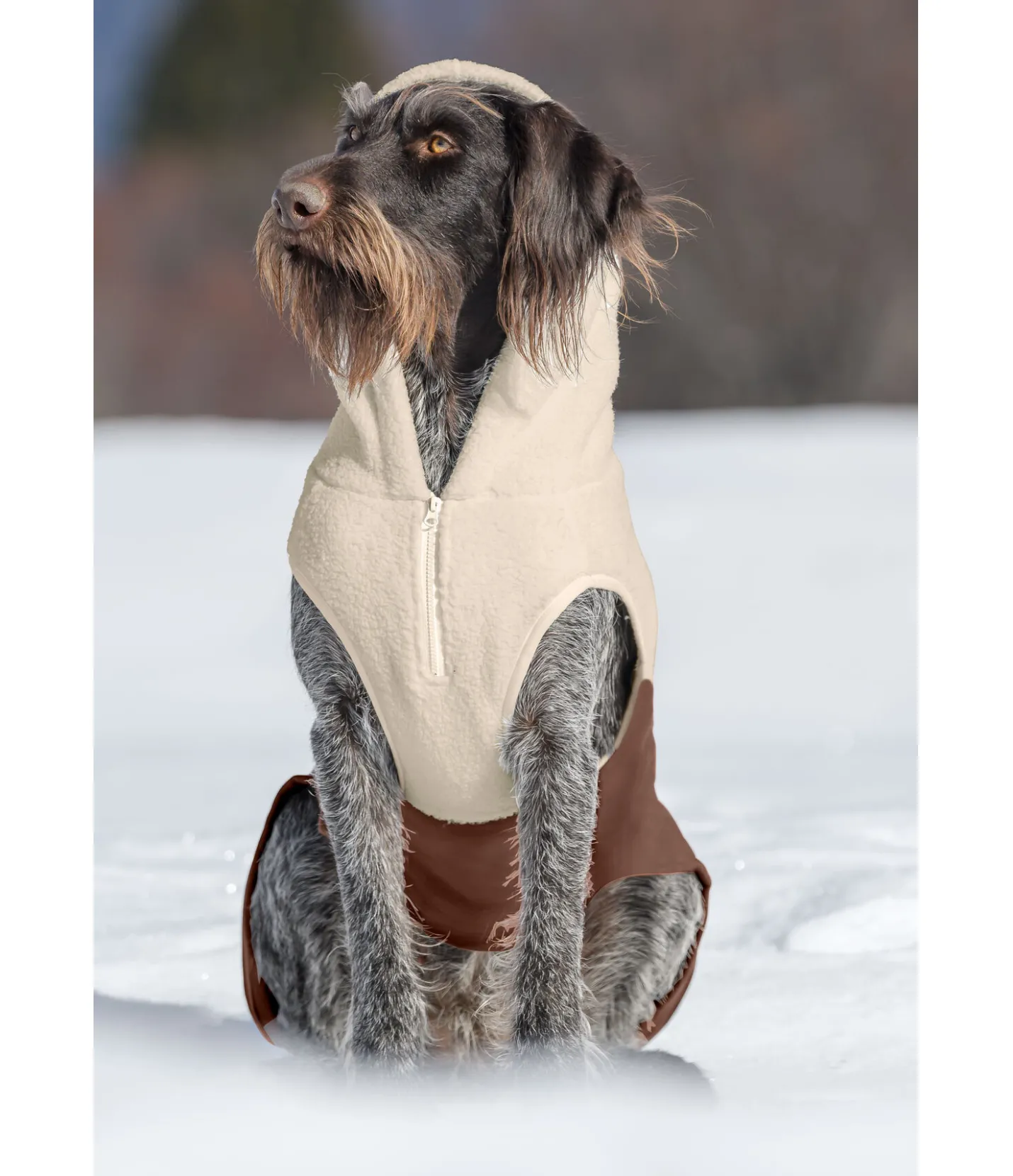 sugar dog Sweat à capuche Sherpa pour chien Sawyer crème caramel Sale