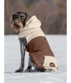 sugar dog Sweat à capuche Sherpa pour chien Sawyer crème caramel Sale