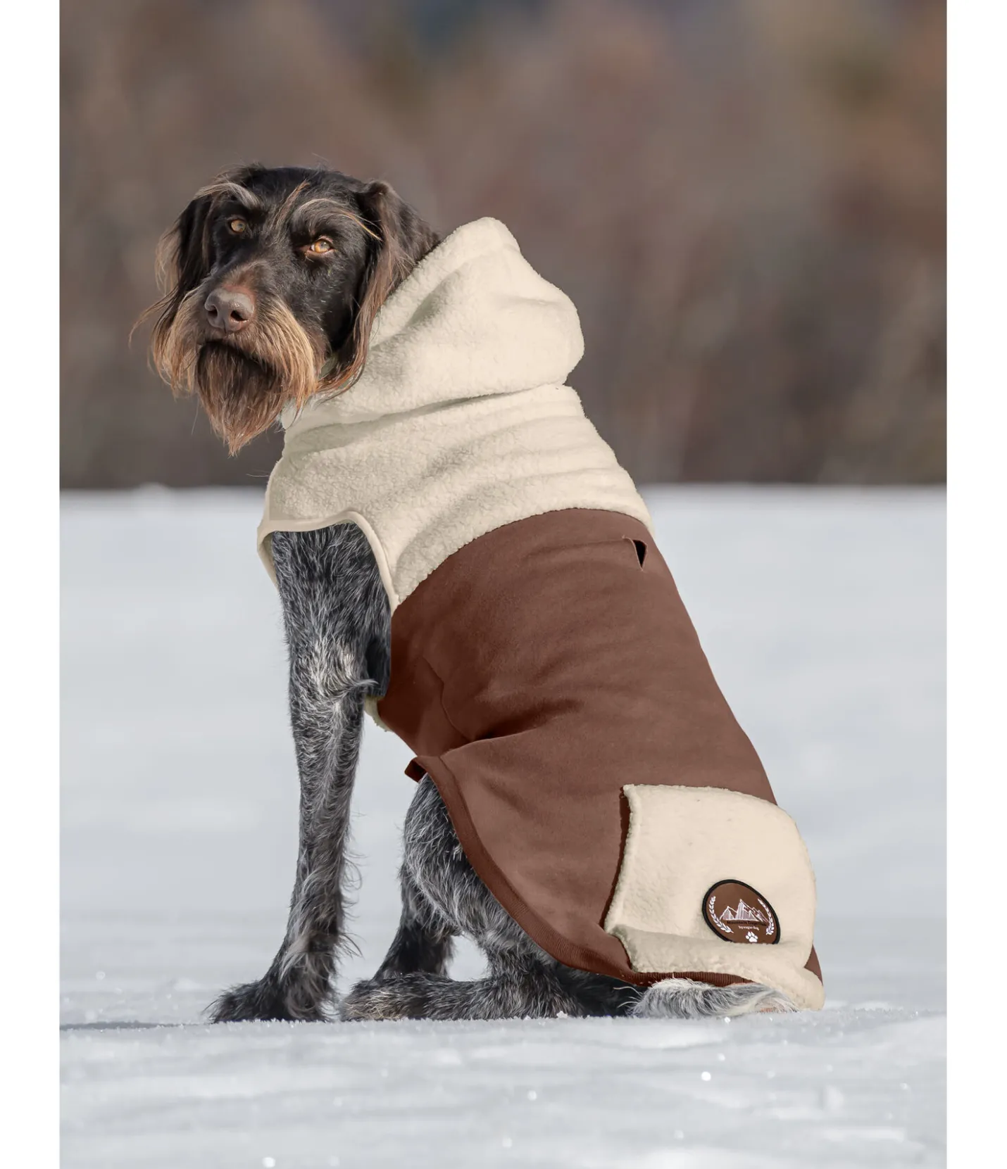 sugar dog Sweat à capuche Sherpa pour chien Sawyer crème caramel Sale