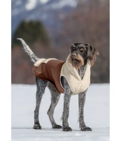 sugar dog Sweat à capuche Sherpa pour chien Sawyer crème caramel Sale
