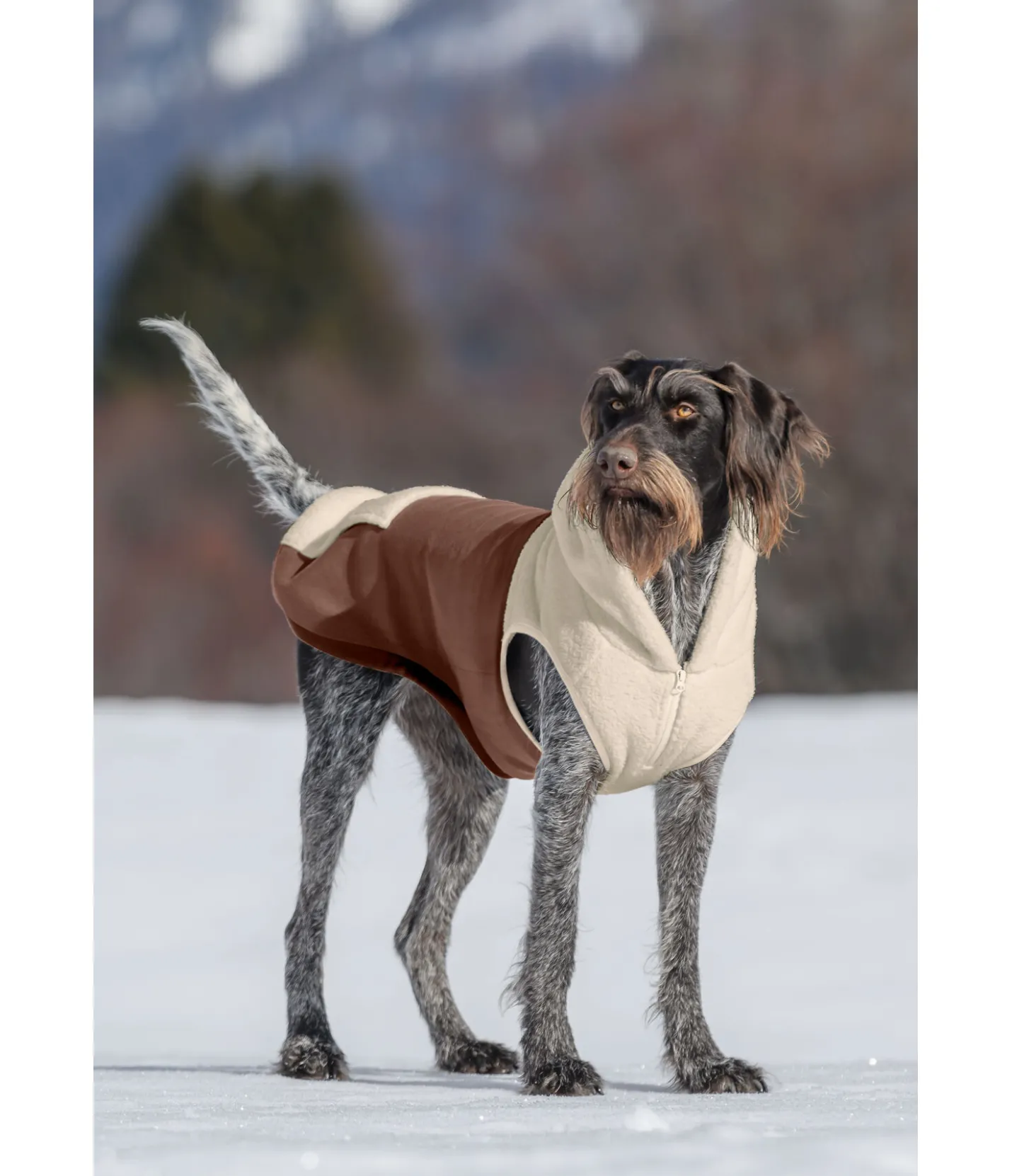 sugar dog Sweat à capuche Sherpa pour chien Sawyer crème caramel Sale