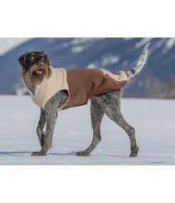 sugar dog Sweat à capuche Sherpa pour chien Sawyer crème caramel Sale
