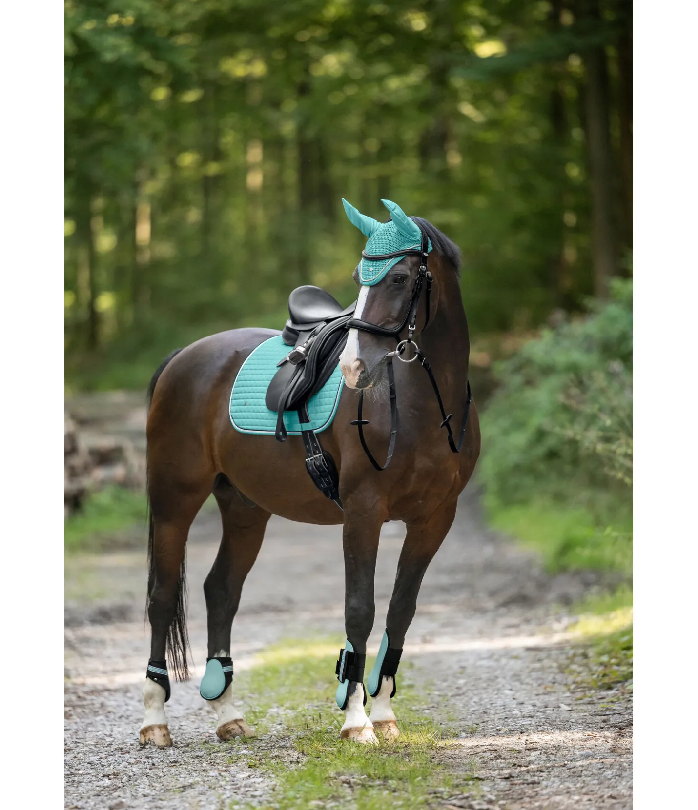 SHOWMASTER Tapis de selle Basic bleu lagune Outlet