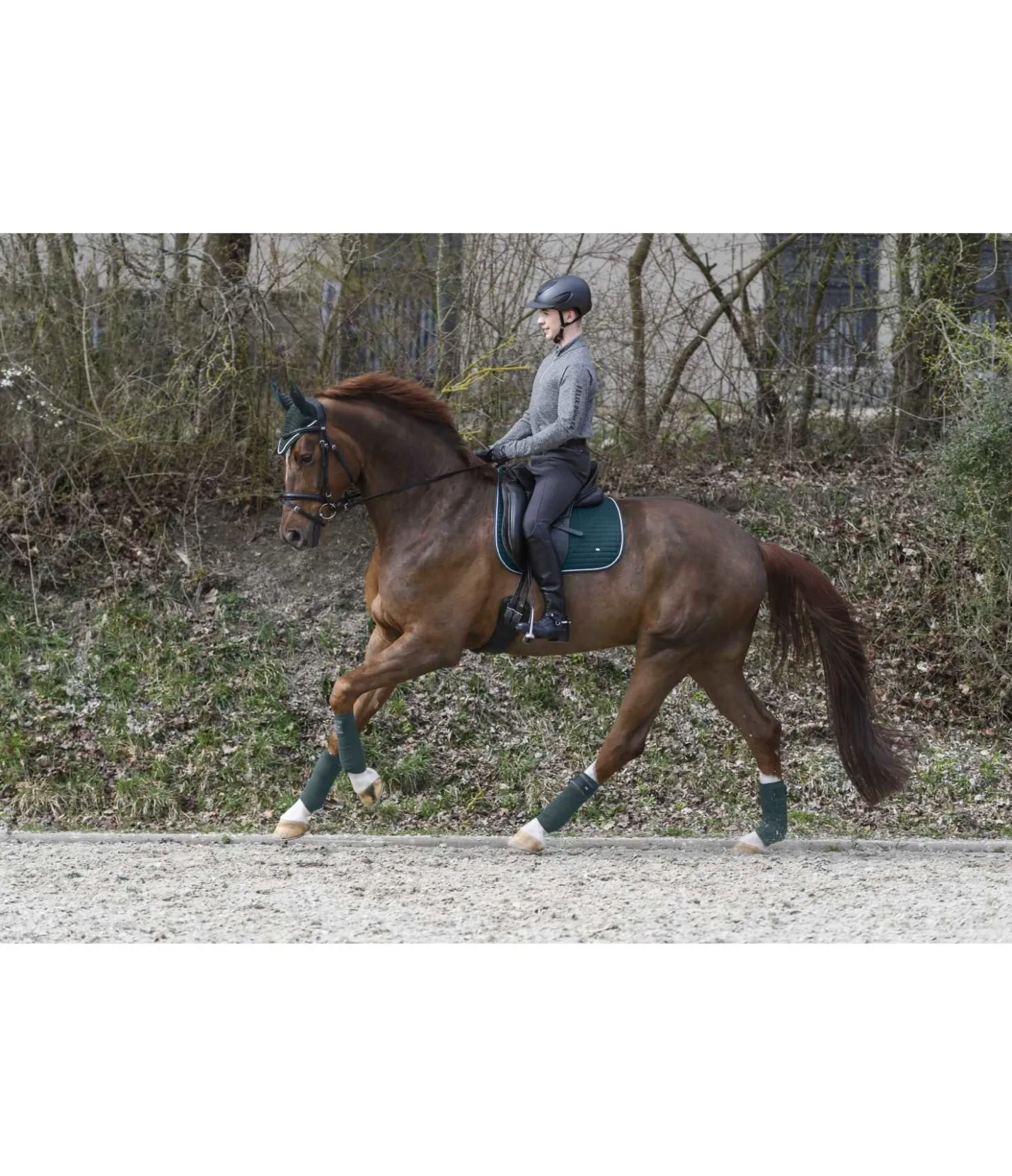 SHOWMASTER Tapis de selle Basic vert d´eau Hot
