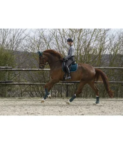 SHOWMASTER Tapis de selle Basic vert d´eau Hot