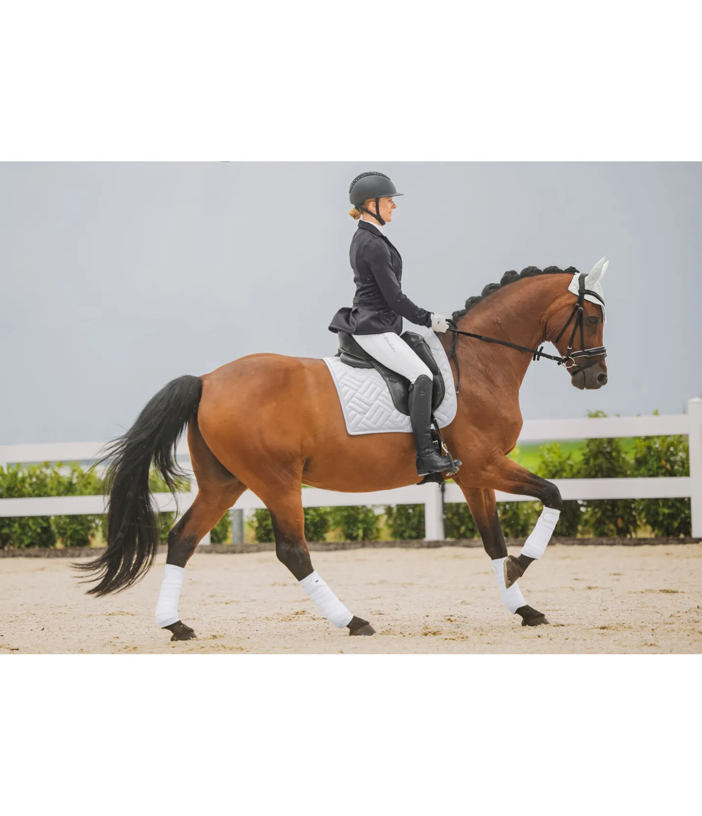 SHOWMASTER Tapis de selle Brillant blanc Hot