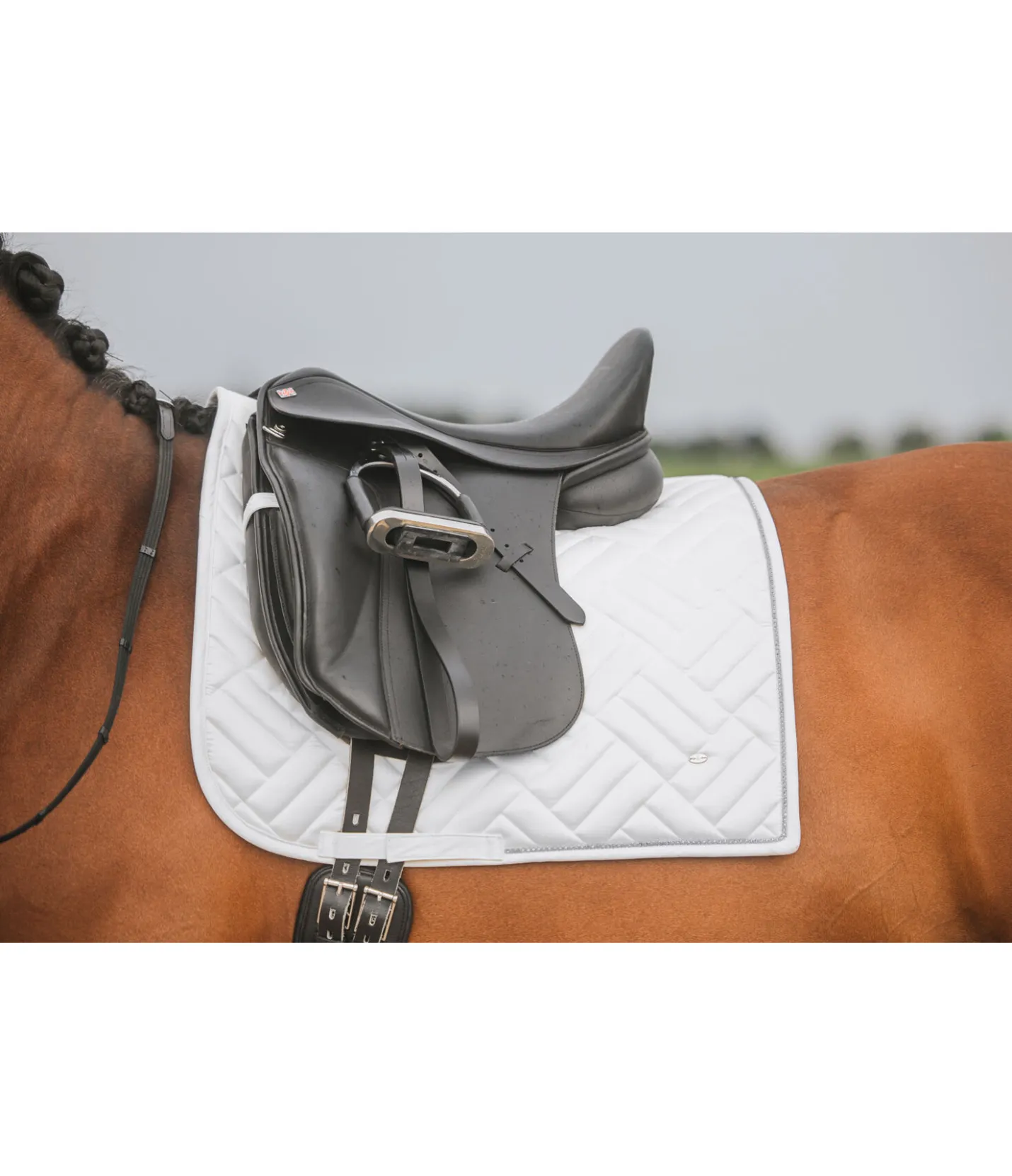 SHOWMASTER Tapis de selle Brillant blanc Hot