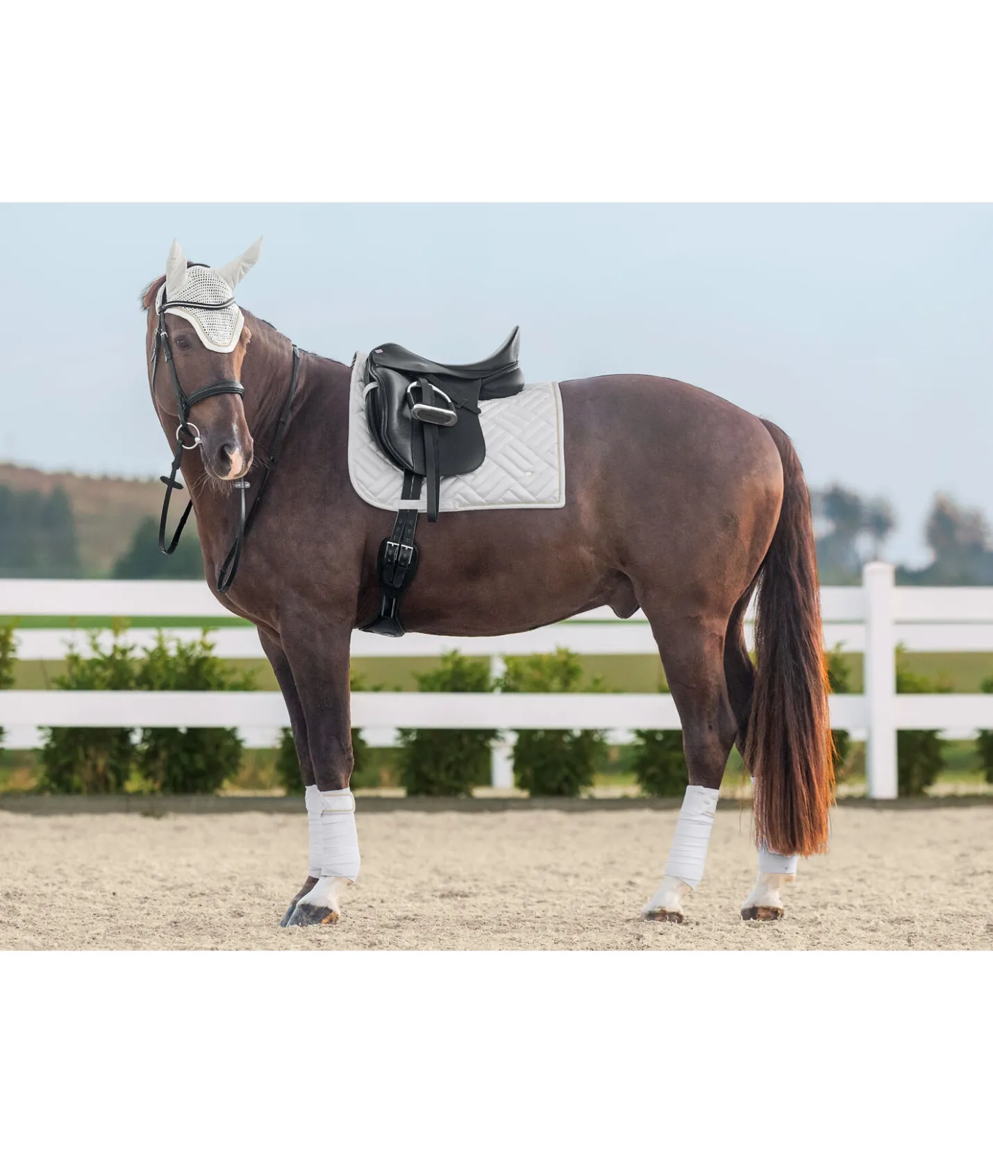 SHOWMASTER Tapis de selle Brillant blanc Hot