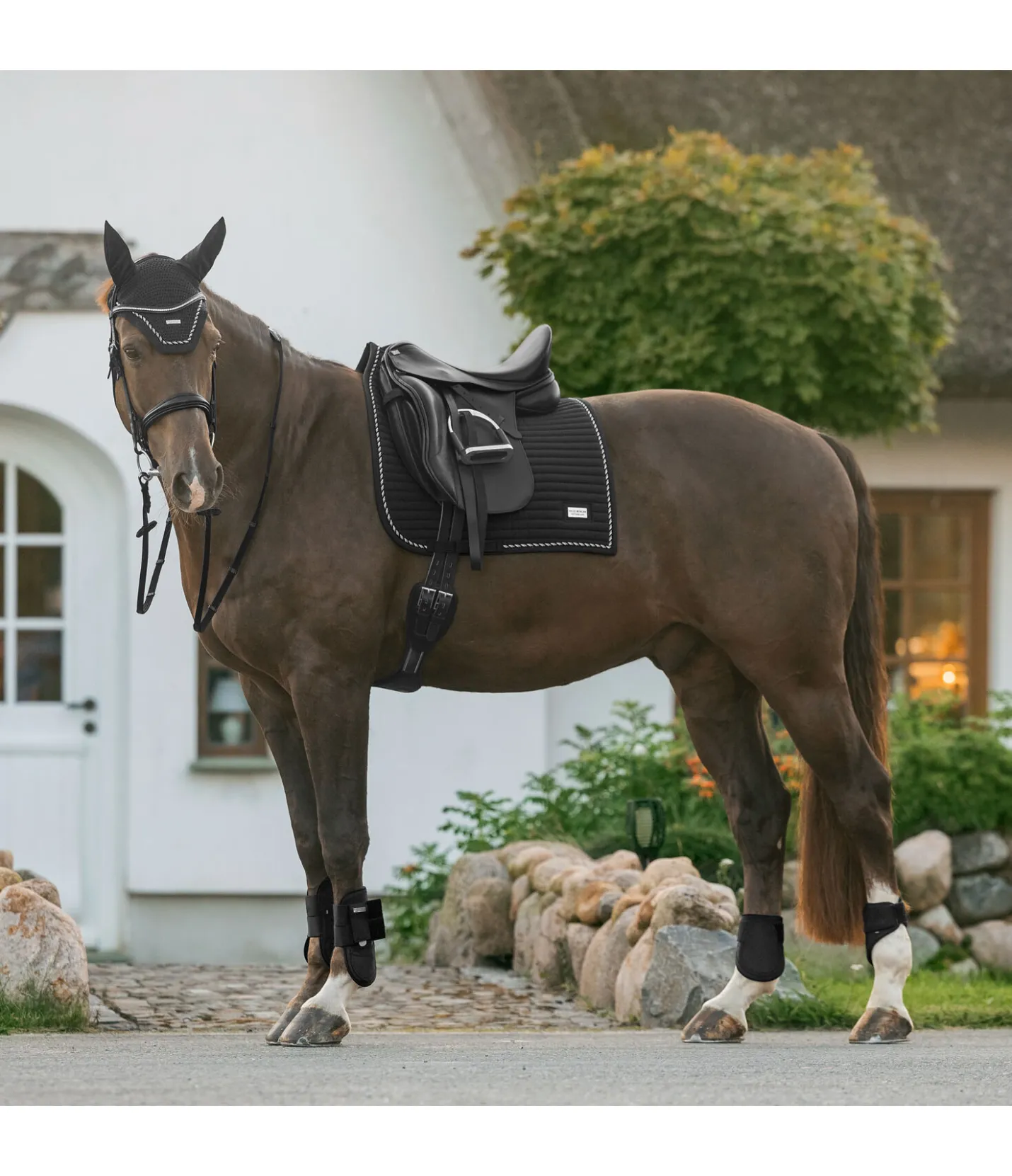 Felix Bühler Tapis de selle Sophistication noir Discount