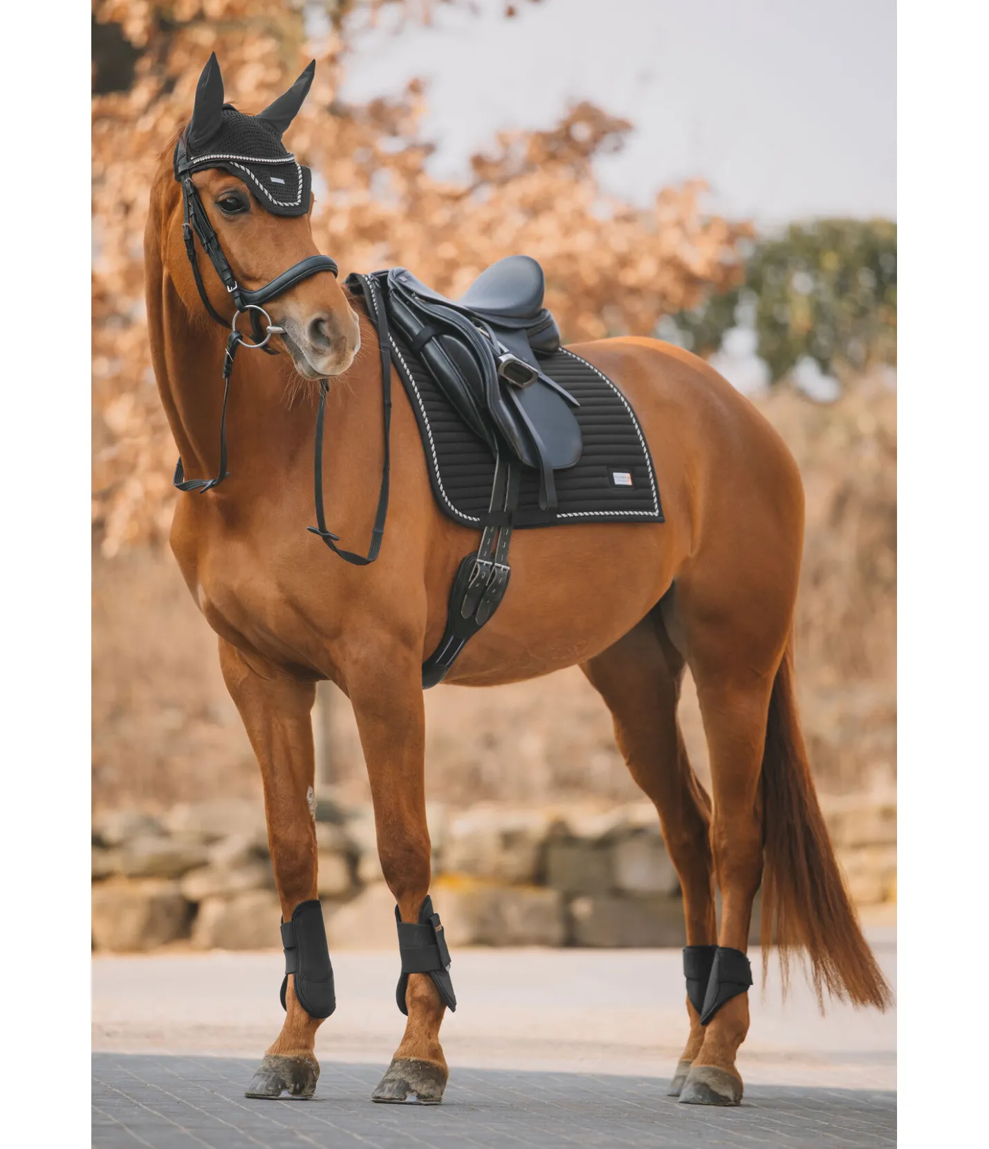 Felix Bühler Tapis de selle Sophistication noir Discount