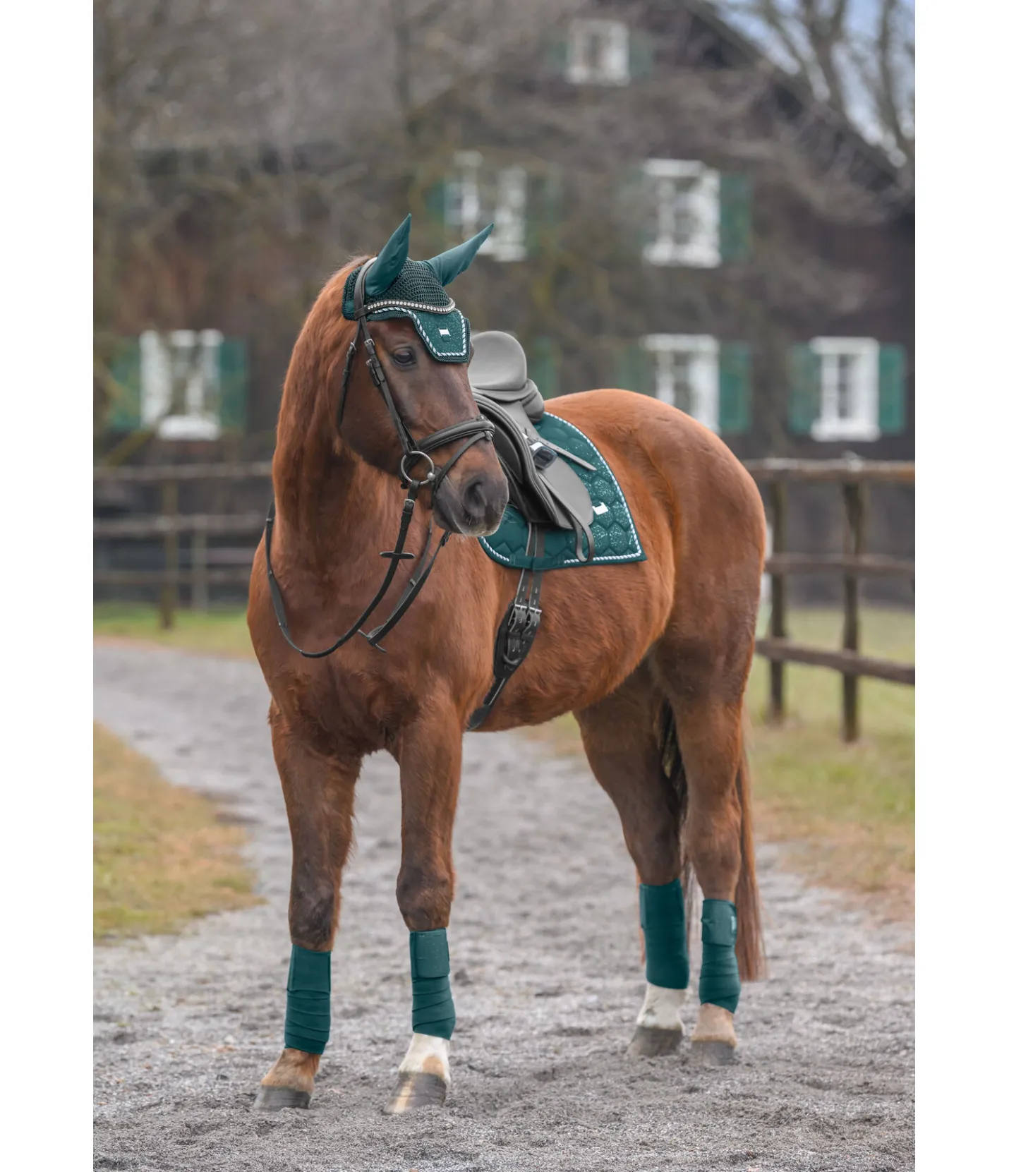 Felix Bühler Tapis de selle Sparkling II vert tropical New