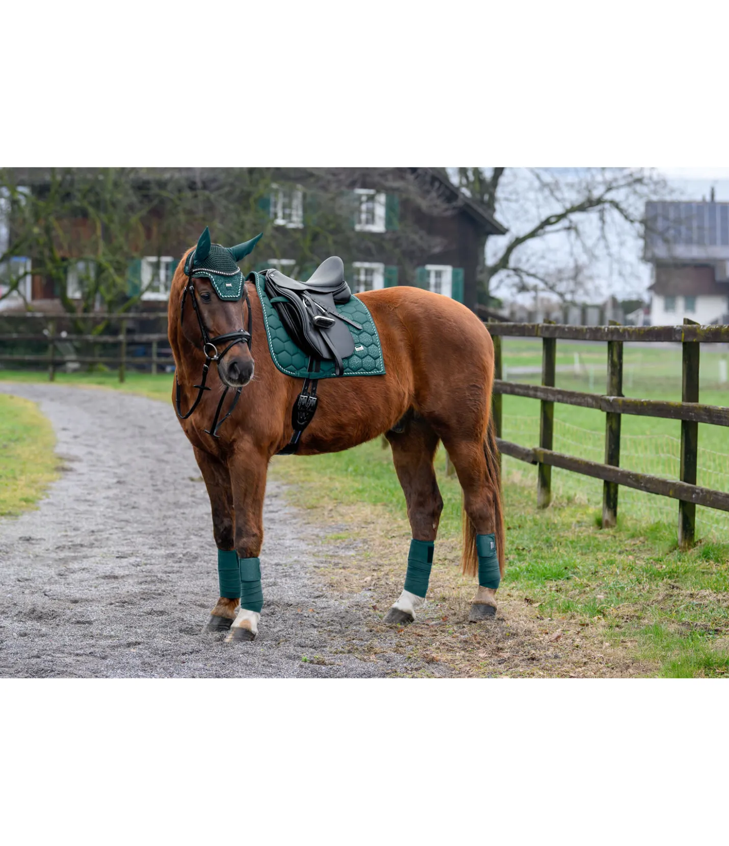 Felix Bühler Tapis de selle Sparkling II vert tropical New