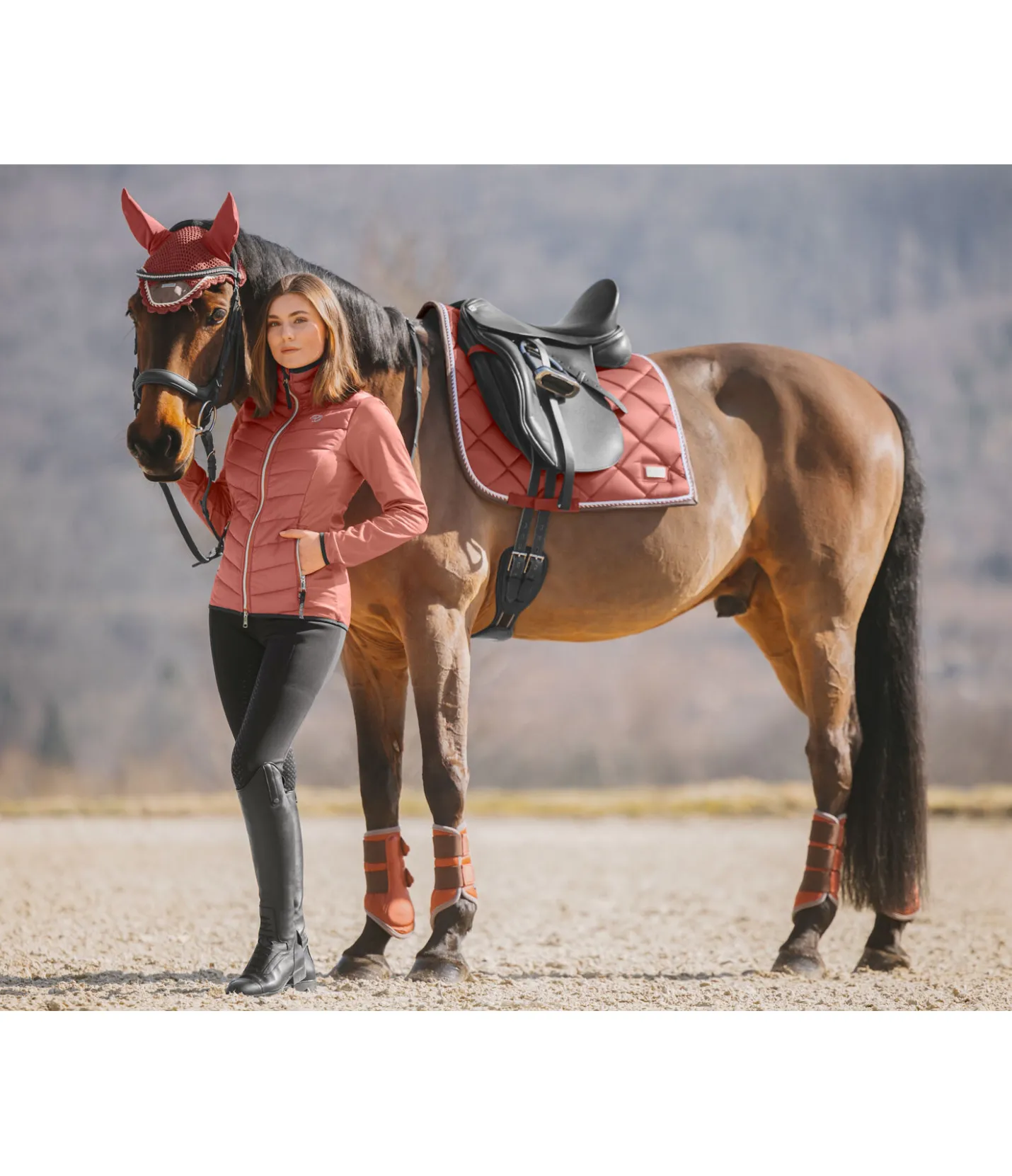 Felix Bühler Tapis de selle Swiss Design cuivre Sale