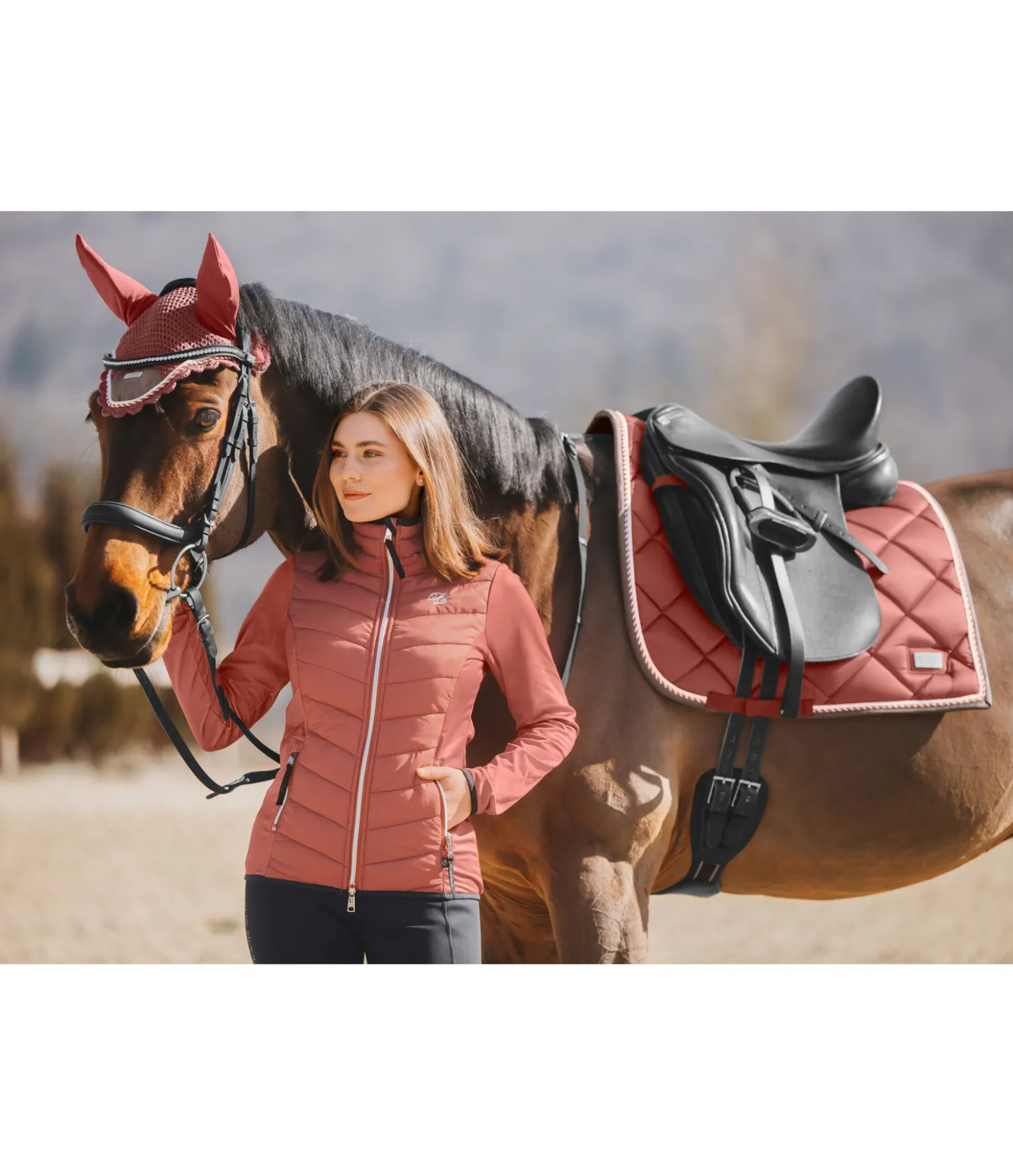 Felix Bühler Tapis de selle Swiss Design cuivre Sale
