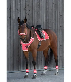 STEEDS Tapis de selle réfléchissant Neon Bright pink Best
