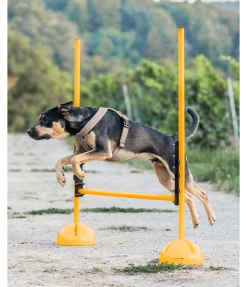 sugar dog Taquets d'agility Clearance