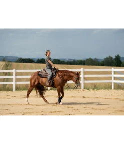 RANCH-X T-Shirt Georgia carbone Outlet