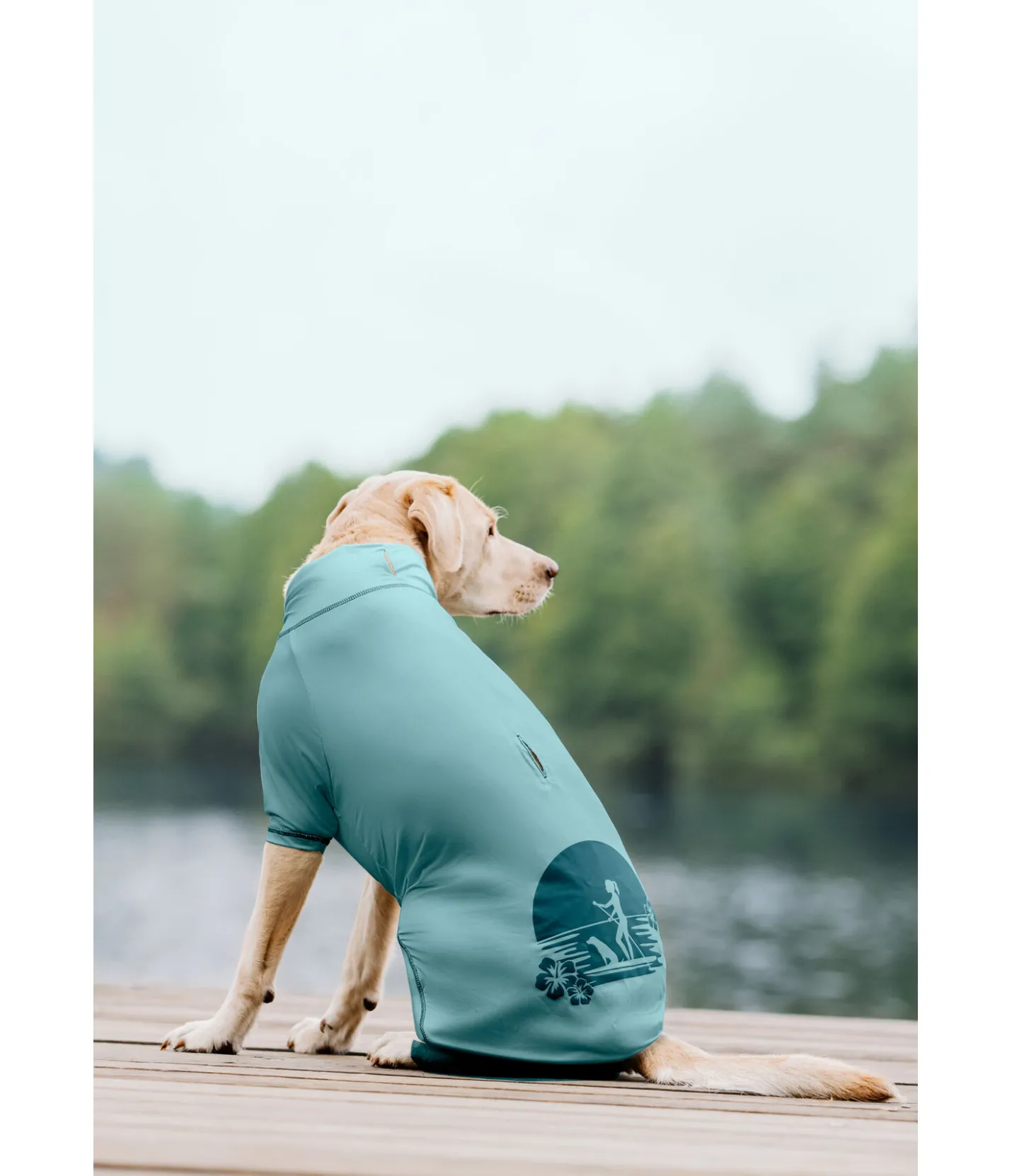 sugar dog T-shirt pour chien Sunny, UV 50+ bleu lagune Sale