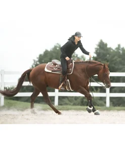 RANCH-X Veste thermique noir